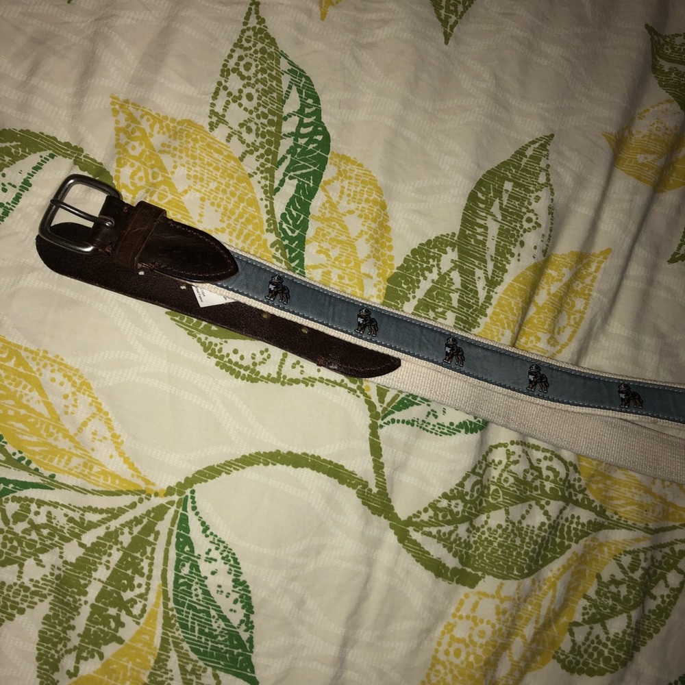 J Crew belt 36